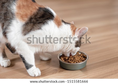 Shutterstock - PuzzlePix