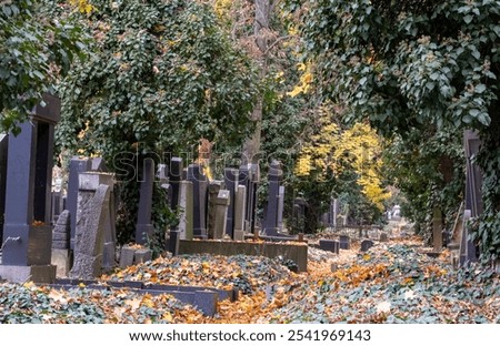 Similar – Image, Stock Photo Jewish tombstone Autumn