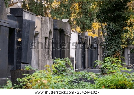 Similar – Image, Stock Photo Jewish tombstone Autumn