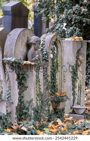 Similar – Image, Stock Photo Jewish tombstone Autumn