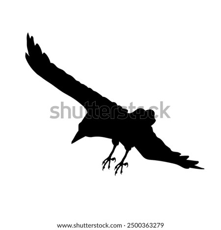 Bird Raven Crow Black Silhouette for Icon.