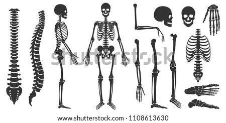 Set of black silhouettes of skeletal human bones isolated on white background. Vector illustration Foto d'archivio © 