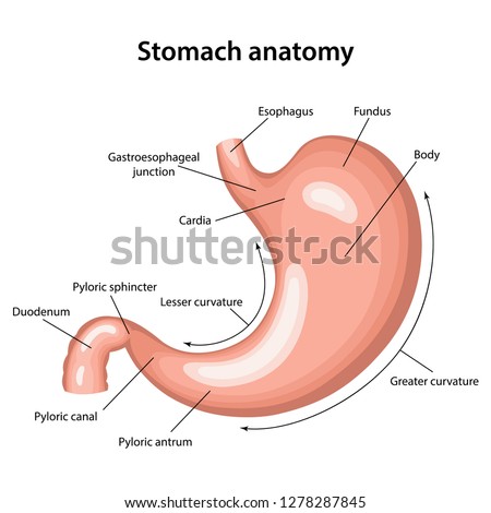 Shutterstock - PuzzlePix