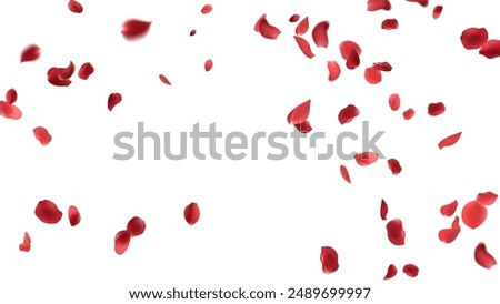 Rose petals or sakura flying petals, romantic background with realistic pink cherry flower petals flow or falling motion. Love, romance, floral spring season

