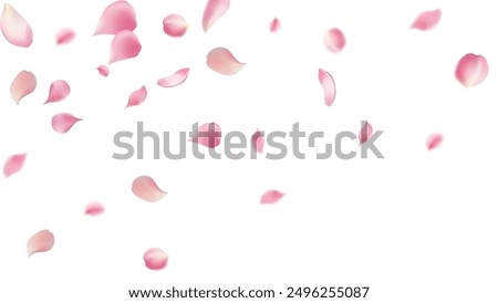 Rose petals or sakura flying petals, romantic background with realistic pink cherry flower petals flow or falling motion. Love, romance, floral spring season,cherry blossom