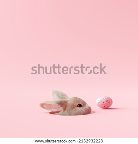 Easter bunny peeps out of the hole on pastel pink background. 3d rendering Imagine de stoc © 