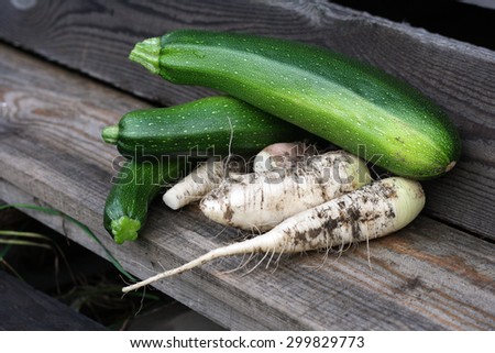 green zucchini, white daikon radish wooden planks texture of old gray wood