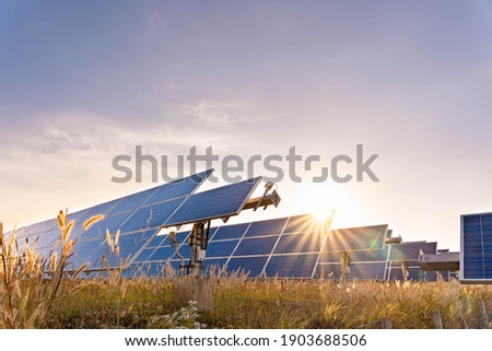 Solar plant(solar cell) with the summer season, hot climate causes increased power production, Alternative energy to conserve the world's energy, Photovoltaic module idea for clean energy production.