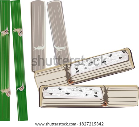 Sticky rice in bamboo tubes (Khao Lam, Thai name) is a popular food made from sticky rice mixed with coconut milk and nuts. Cereal. Appetizer in Thailand. Vector illustration
