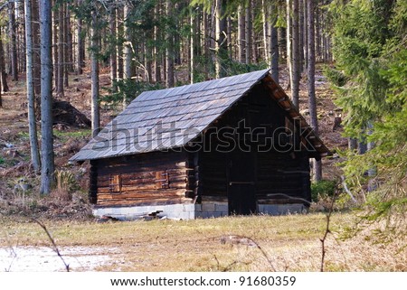 Wooden house in forest.