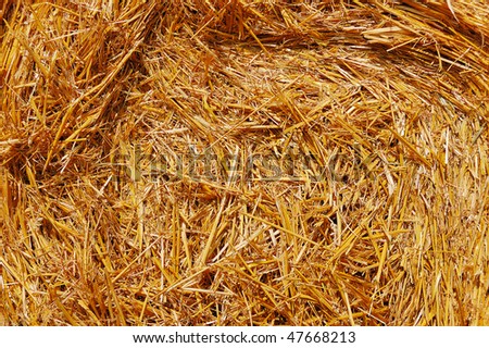 Abstract background of a tightly packed hay bale