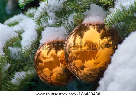 These snow covered gold ornaments on a Christmas Tree in Santa Fe New Mexico reflect the beautiful adobe walls and buildings during the winter season.