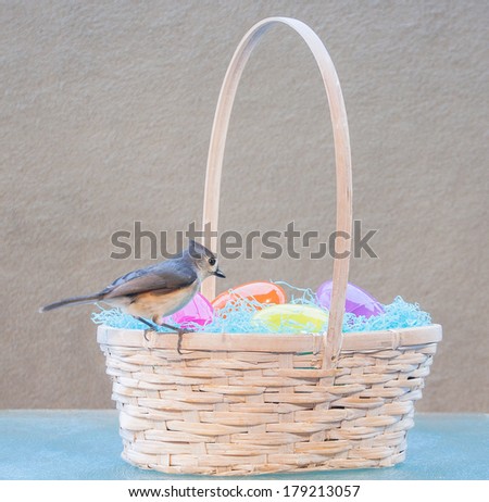 Easter basket with live wild birds