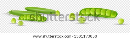 Vector green peas. Photo-realistic vector pods of green peas on transparent background. 3d green peas illustration.