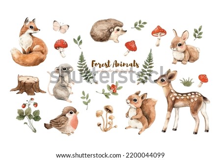 Cute forest baby animals watercolor illustration.
Woodland isolated little animals (bird, fox, fawn, hare, hedgehog, mouse and squirrel) and plants (fern, amanita,mushrooms, strawberry) for nursery.