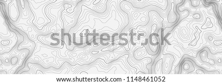 Background of the topographic map. Topographic map lines, contour background. Geographic abstract grid. EPS 10 vector illustration.