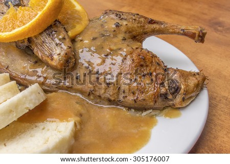 Roast duck with dumplings, typical Czech or German cuisine or dish.