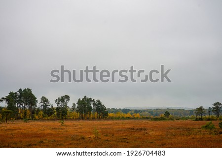 Similar – Foto Bild Grauer Himmel, Bäume, Feld