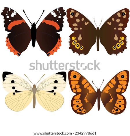  Amiral butterfly; Speckled Wood butterfly ; White butterfly; Wall brown butterfly ; vector illustration