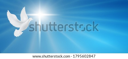 Dove with christian cross symbol. Crucifix. Easter. Sign of purity. Faith. Baptism. Holy Spirit. Evangelization. Resurrection. Banner. Blue background with bright rays