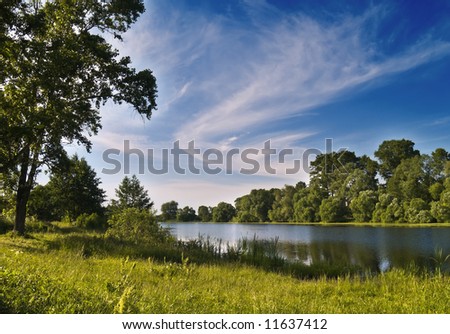 Summer river bank with blue sky and trees