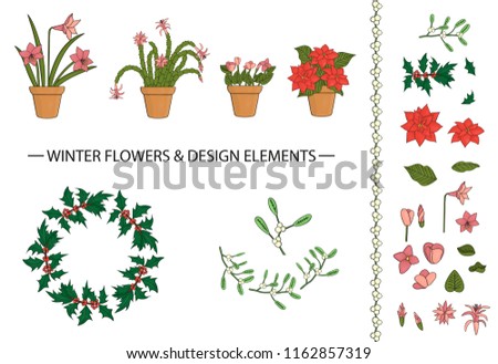 Vector set of winter flowers and design elements in pots, bouquets, wreath. Vector illustration of poinsettia, hippeastrum, schlumbergera, holly, mistletoe, cyclamen isolated on white background