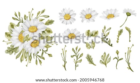 Similar – Image, Stock Photo romantic white daisy flower in the garden in springtime