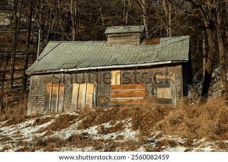 Image, Stock Photo Small grove on empty dry field