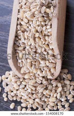 Close up photo of a raw eco food in the wooden spatula - light brown buckwheat groats placed on a dark wooden background.