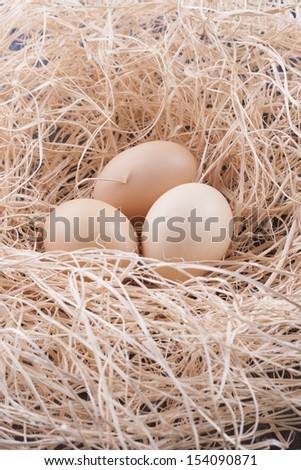 Close up photo of a raw eco food chicken eggs placed on a wooden shavings.
