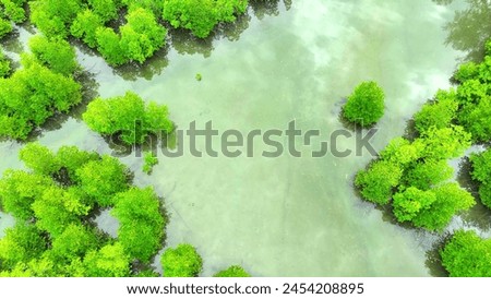 Similar – Foto Bild Küstenschutz mit Vogel in Friesland