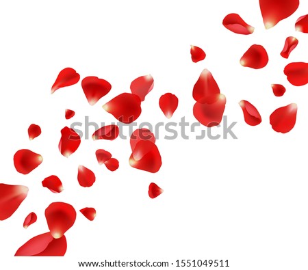 Petal background. Flying rose petals wedding beautiful template design for cards invitation vector pictures