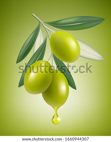 Olive drop. Natural branch with splashes of transparent oil vector closeup drop vector realistic greek olive food