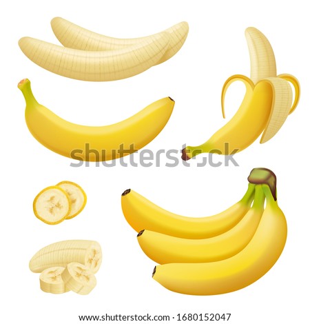 Banana fruits. Exotic desserts natural tropical plants vector healthy food bananas