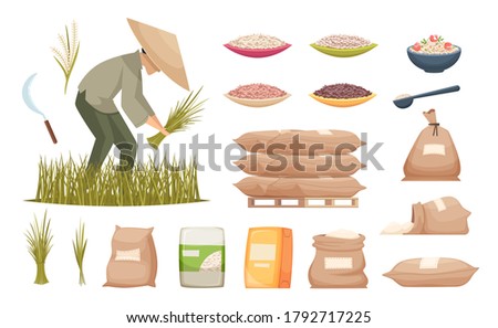 Rice bags. Agricultural products brown and white rice transporting food ingredients vector illustrations