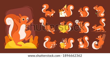 Cartoon squirrel. Wild wooden animals various poses squirrels on branch with nuts nowaday vector funny set