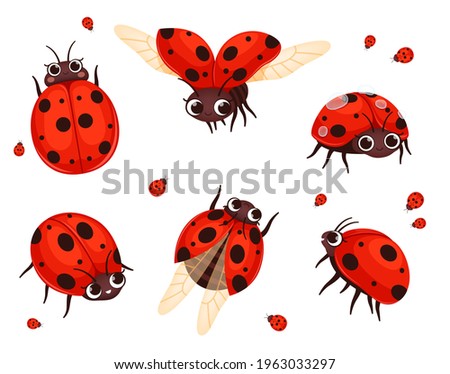 Ladybug. Flying closeup insects in action poses nature bugs nowaday vector illustrations of cartoon red ladybugs