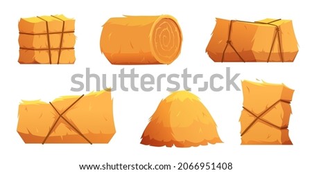 Similar – Image, Stock Photo Hay rolls (hay bales) on a field, aerial view