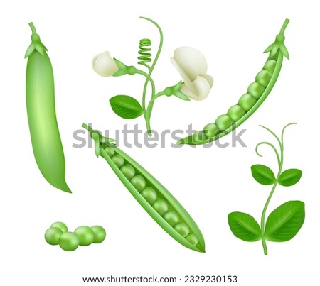 Green peas. Vegan natural food green pea pods healthy products decent vector collection set