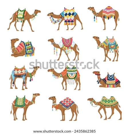 Camel. Decorative pictures of camels from sahara deserts recent vector illustrations set of stylized illustrations