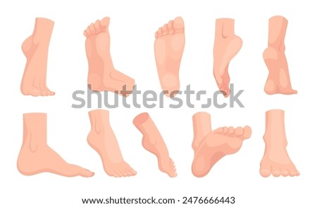 Human foot. People anatomy illustration barefoot walking legs exact vector pictures of different viewpoints of feet