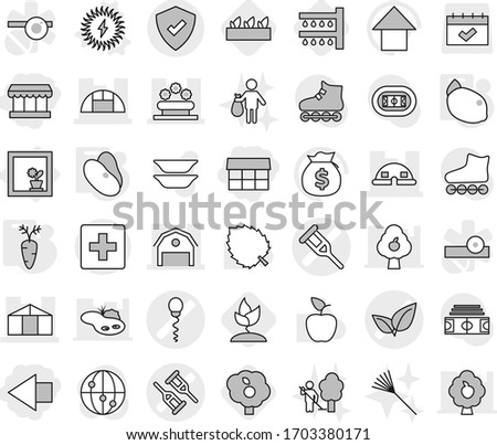 Editable thin line isolated vector icon set - market, left arrow, crutch vector, sperm, leafs, barn, dome house, greenhouse, flower bed, protected, first aid, in window, solar power, beans, carrot