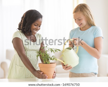 Happy female friends watering potted plant at home