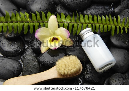 Fern with yellow orchid and massage oil ,brush on zen stones