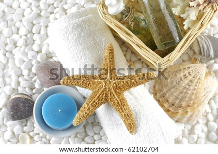 skin care items with starfish and sea shells on white pebble
