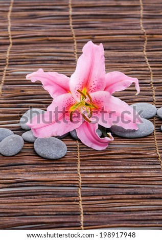 Pink lily with gray stones on mat