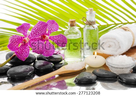 Spa Background with green palm with spa set
