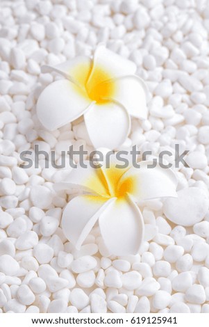 Two Frangipani