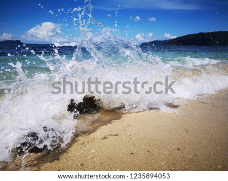 Shutterstock Puzzlepix