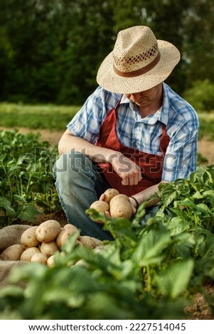 Similar – Image, Stock Photo Man picking potatoes on the farm. Agricultural concept.